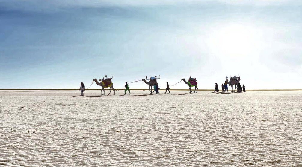 Rann of Kutch, Gujarat, India